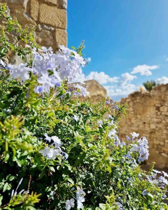 فيلا ترميني إميرسيفي Casa Al Plumbago المظهر الخارجي الصورة